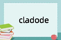 cladode是什么意思