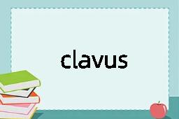 clavus是什么意思