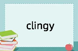 clingy是什么意思