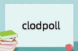 clodpoll是什么意思