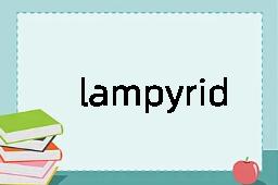 lampyrid是什么意思