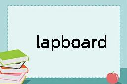 lapboard是什么意思