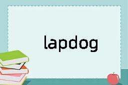 lapdog是什么意思