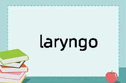 laryngoscopic是什么意思