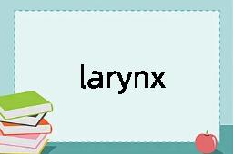 larynx是什么意思