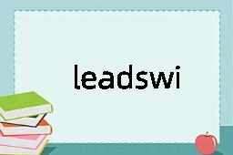 leadswinger是什么意思