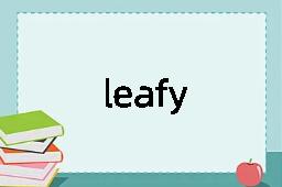 leafy是什么意思