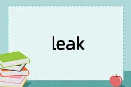 leak是什么意思