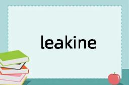 leakiness是什么意思