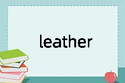 leathercoat是什么意思