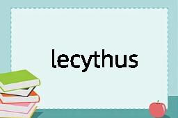 lecythus是什么意思