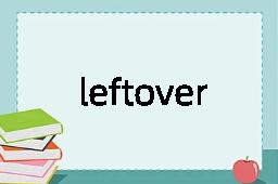 leftover是什么意思