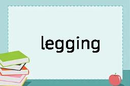 legging是什么意思