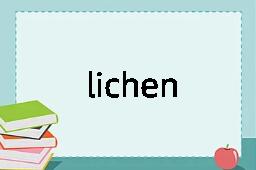 lichen是什么意思