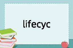 lifecycle是什么意思