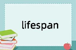 lifespan是什么意思