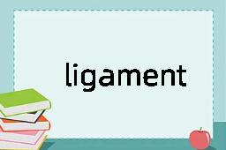 ligament是什么意思