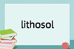 lithosol是什么意思