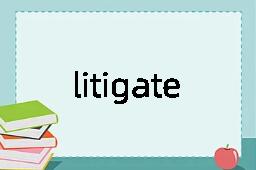 litigate是什么意思