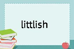 littlish是什么意思