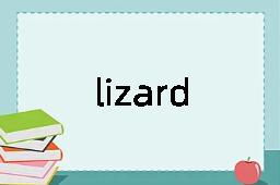 lizard是什么意思