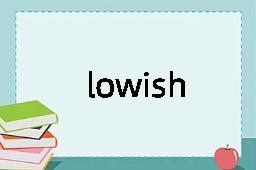 lowish是什么意思