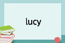 lucy是什么意思