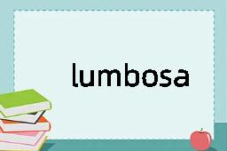 lumbosacral是什么意思