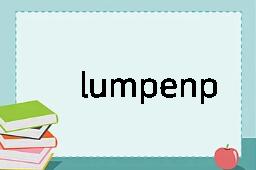 lumpenproletarian是什么意思