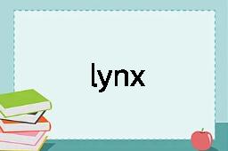 lynx是什么意思