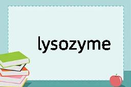 lysozyme是什么意思