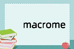 macromere是什么意思