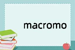 macromolecule是什么意思