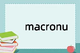 macronucleus是什么意思