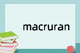 macruran是什么意思