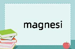 magnesian是什么意思