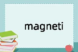 magnetize是什么意思