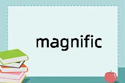 magnific是什么意思