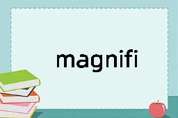 magnification是什么意思