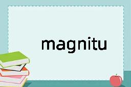 magnitude是什么意思