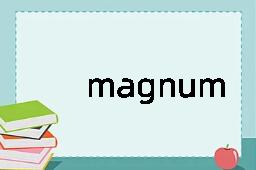 magnum是什么意思