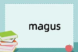 magus是什么意思