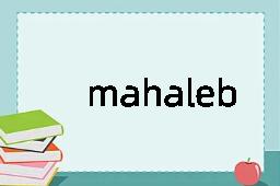 mahaleb是什么意思