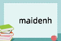 maidenhead是什么意思