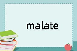 malate是什么意思