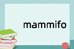 mammiform是什么意思