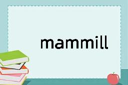 mammilliform是什么意思