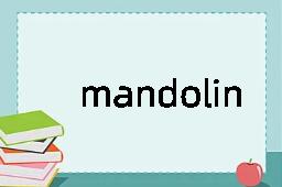 mandolin是什么意思