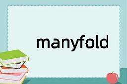 manyfold是什么意思