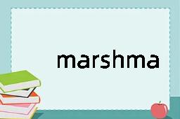 marshmallow是什么意思